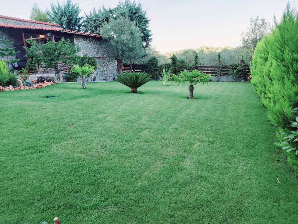 Dimitris' Villas - Villa 3 Ormos Panagias Ngoại thất bức ảnh